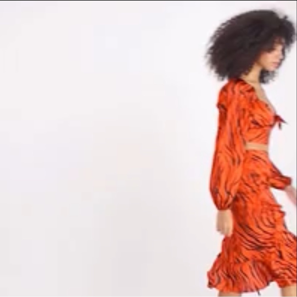 NWT-BAR III -Tiger-Print Crop Top, Created for Macy's. Size S - Picture 8 of 14